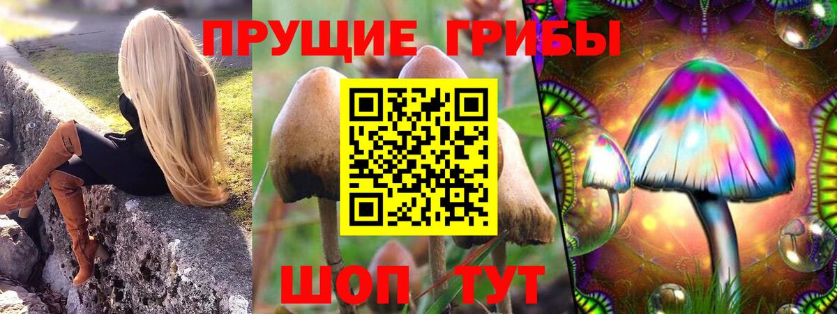 Галлюциногенные грибы мицелий Москва