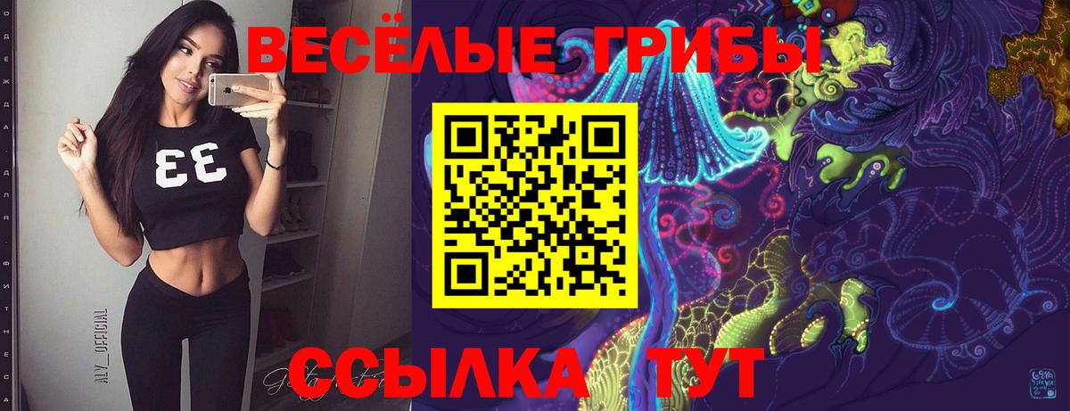 Москва  Псилоцибиновые грибы MAGIC MUSHROOMS  наркотики  Вход с VPN 